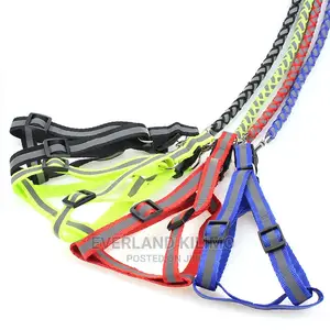 Reflective Dog Leash And Harness