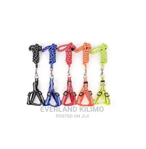Reflective Dog Leash And Harness