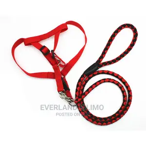 Dog Leash and Harness