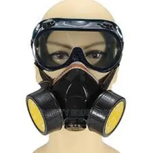 Double Nozzle Respiratory Mask