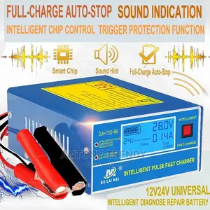 Car Battery Blm 866
