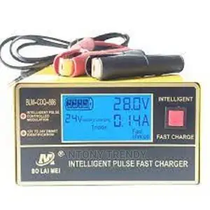 BLM 866 12v/24v Car Battery Charger.