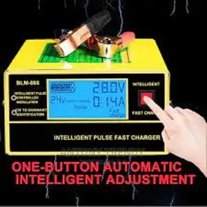Universal Automatic Car Battery Charger BML 866.