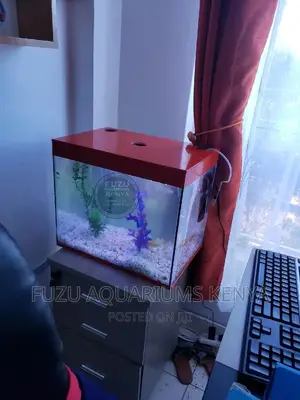 Small Aquarium