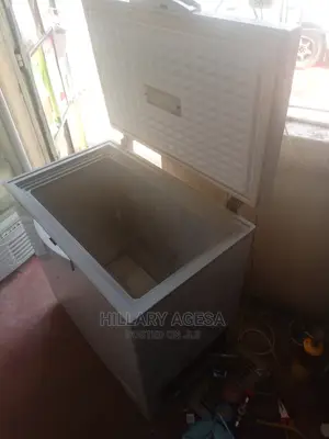 Fridge Repair Service