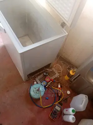 Fridge Repair Service