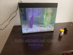 Complete Small Aquarium With Fish