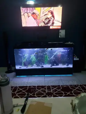 Tv Stand Aquarium