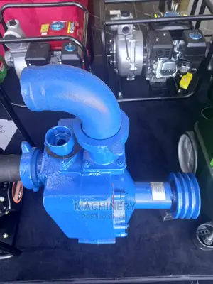 2.5" Centrifugal Bare Pump