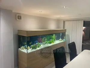 Long Aquariums