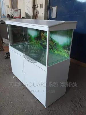 White Aquarium