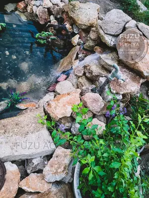 Ponds , Fountains and Water Features
