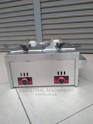 Double Gas Deep Fryer