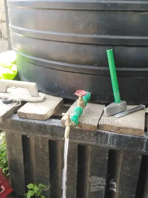 Plumber Proffesional