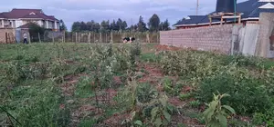 Big 1⁄4 Plot for Sale in Royalton Eldoret