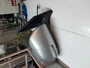 Vanguard Side Mirror