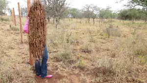 2 Road Plots for Sale Near Kajiado Cbd, Namanga Road