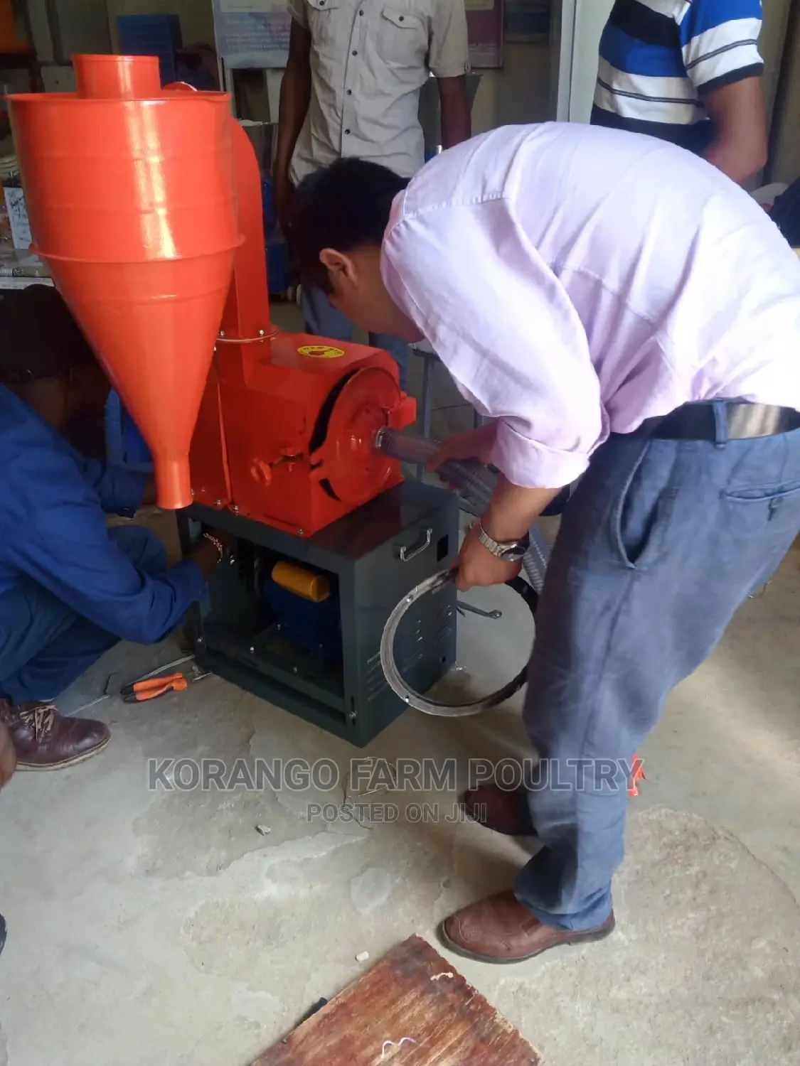 Crushers Particles for Chicken