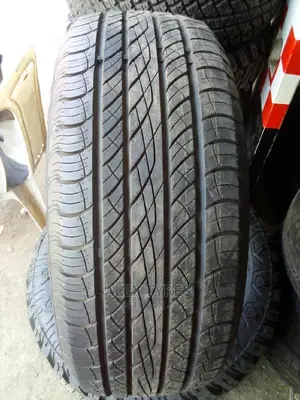 255/55r19 Antares Tyres Made in China