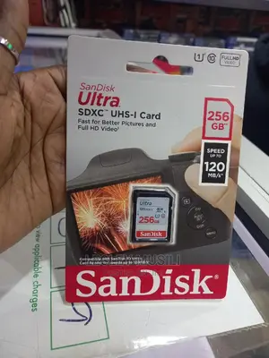 256GB Camera Sd Card