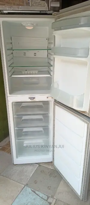 Bottom Freezer Refrigerator