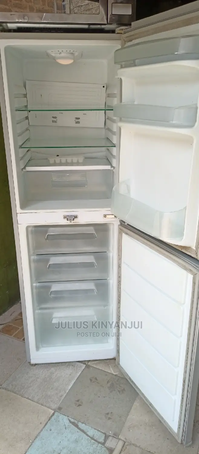 Bottom Freezer Refrigerator