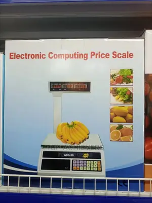 Digital Weighing Scale 30kg