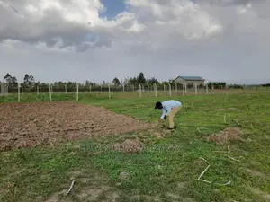 Plot for Sale MUTAITA JOGOO/Mutaita. Piped Water on Site