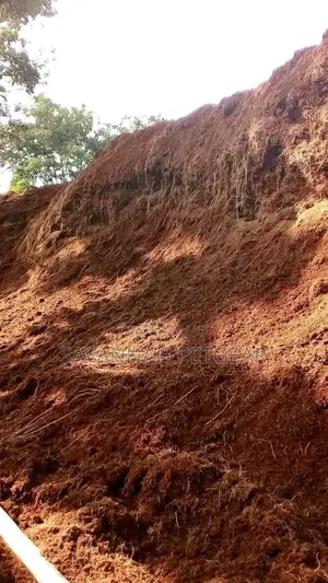 Cocopeat Coco Coir Agricultural Cocopeat in 20kg Bags