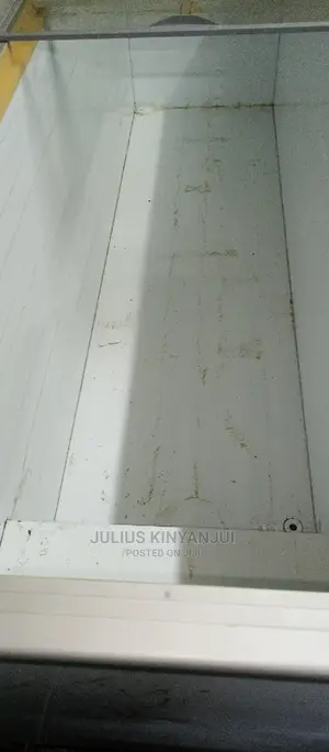 Double Door Freezer