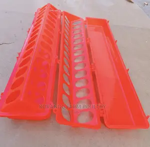 Small Holes Feeders