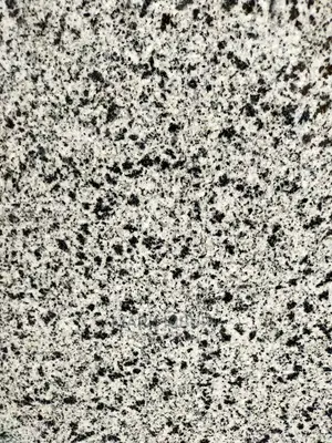 Black and White Granite Countertop