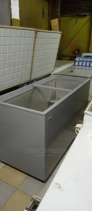 2 Door Freezer 600L