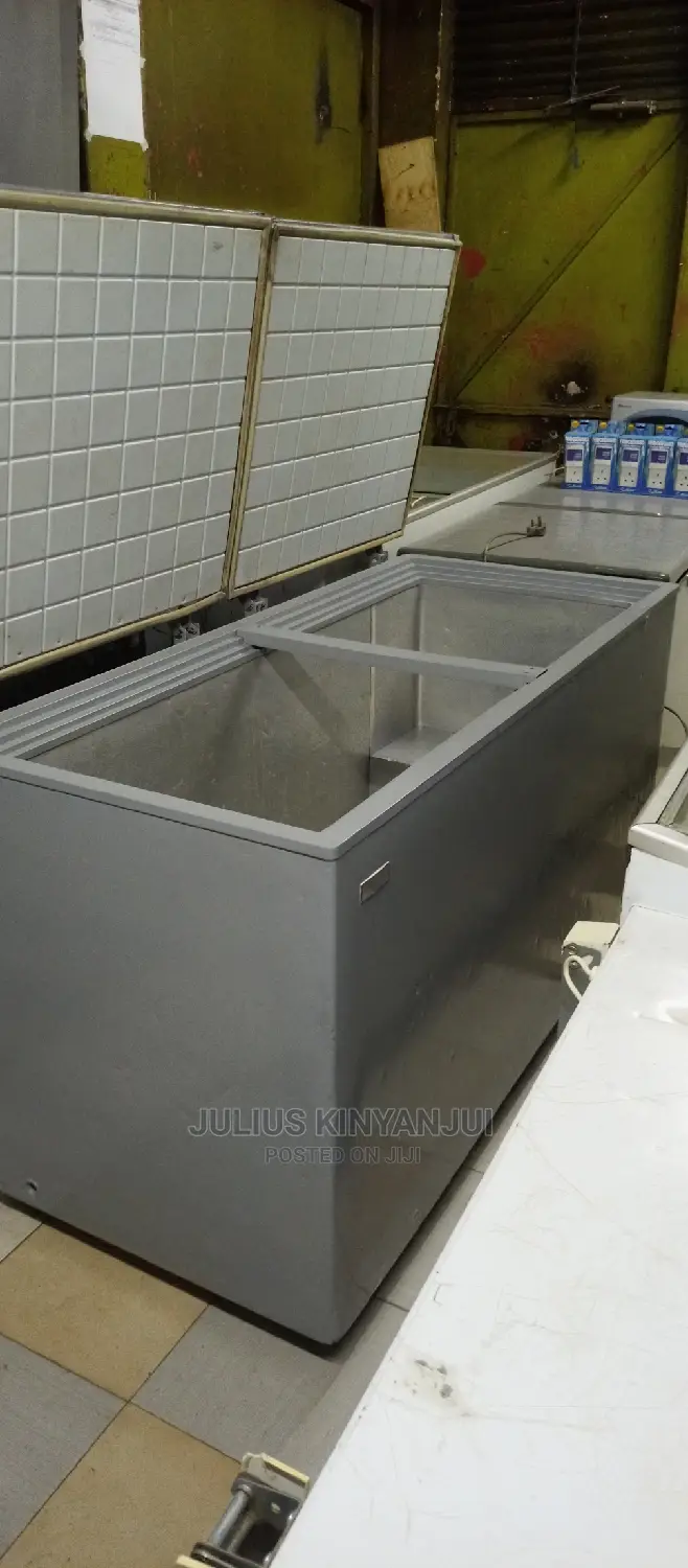 2 Door Freezer 600L