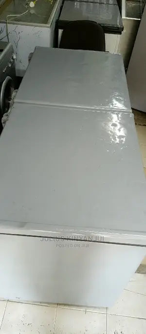 2 Door Freezer 600L