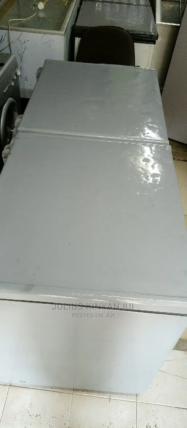 2 Door Freezer 600L