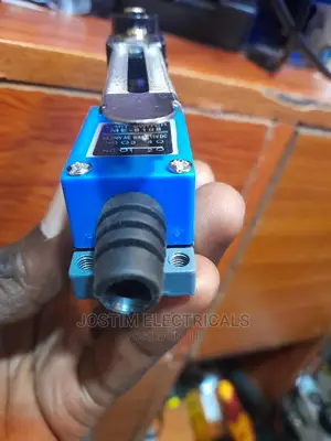 Limit Switch 5A 250v