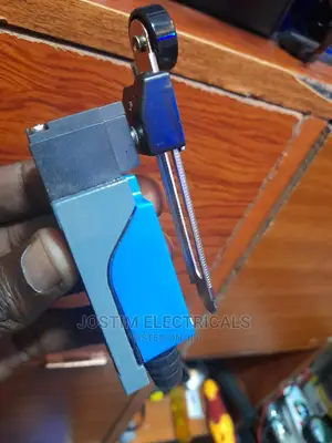 Limit Switch 5A 250v