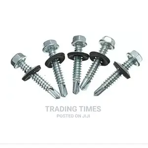 1" Roofing Screw(200pieces)