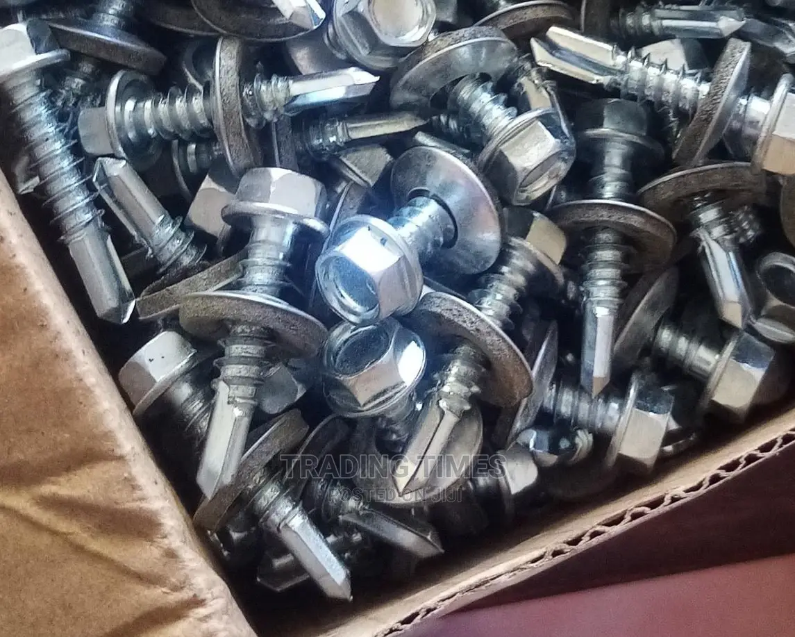 1" Roofing Screw(200pieces)