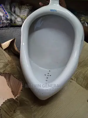 Toilet Urinal Bowl. Medium