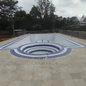 Swimming Pool With Jaccuzi