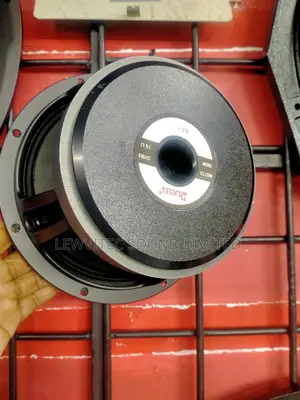 Derwell 8 Inch Naked Speaker