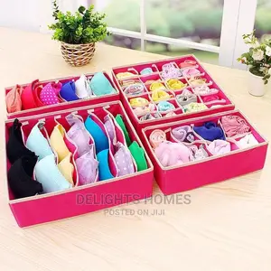 4in1 Under Garments Organizer