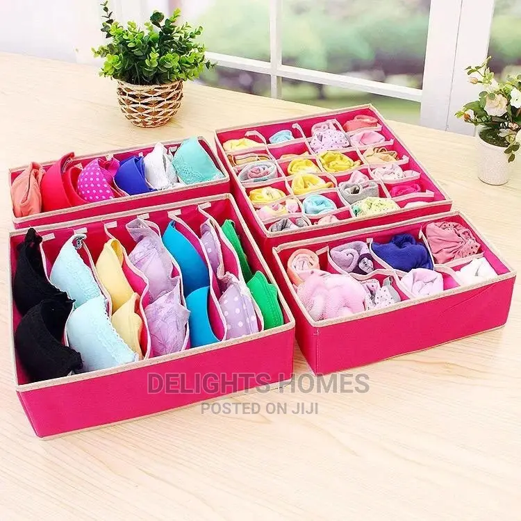 4in1 Under Garments Organizer