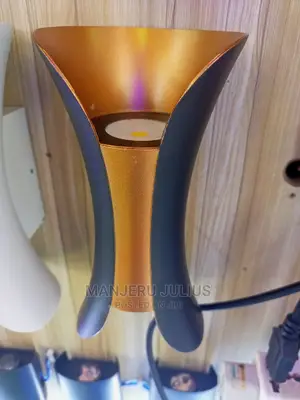 Wall Light