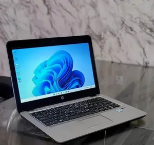 Laptop HP EliteBook 820 G3 4GB Intel Core I5 HDD 500GB