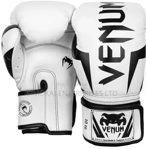 Assorted Boxing Gloves