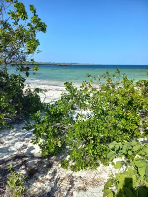 Beach Plots for Sale - Matsangoni