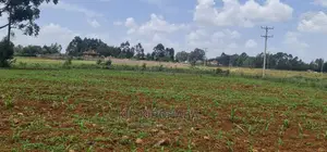 1 Acre Land for Sale in Elgonview Eldoret